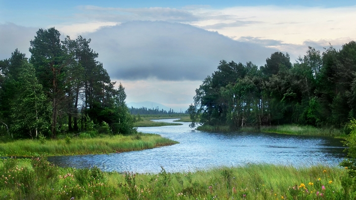 От Тулуна осталась половина, под угрозой Байкал: "Чубайсовские схемы" ведут Россию к экологическому "Чернобылю"