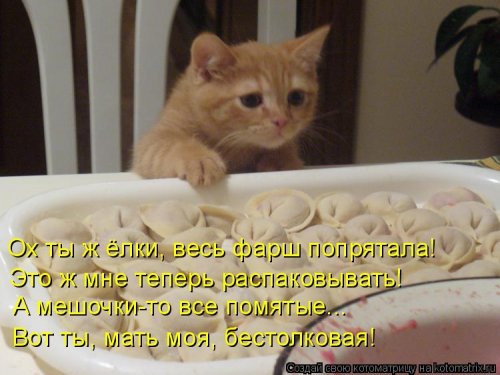 Новая котоматрица  