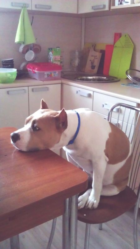 Подборка прикольных фото  (106 фото)