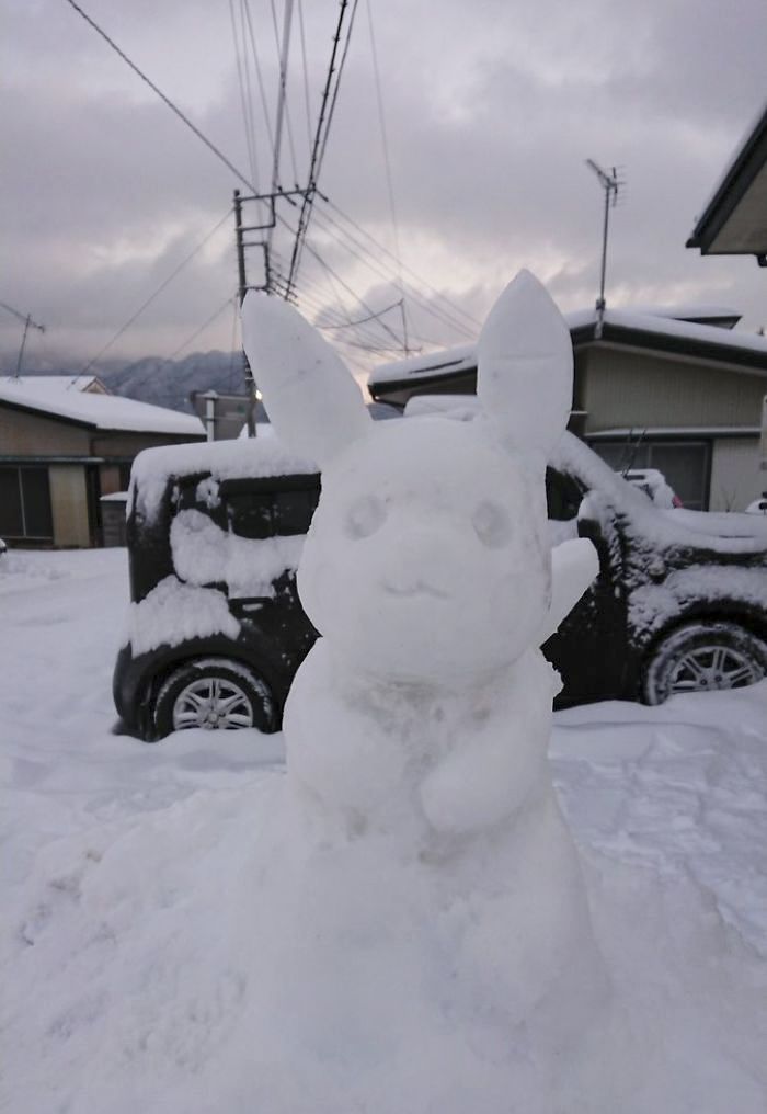 Heavy Snow Tokyo