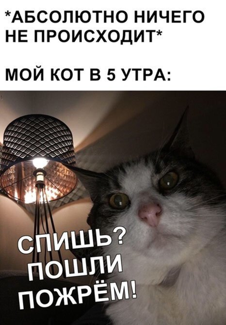 Картинки чего не спишь, открытки своими руками