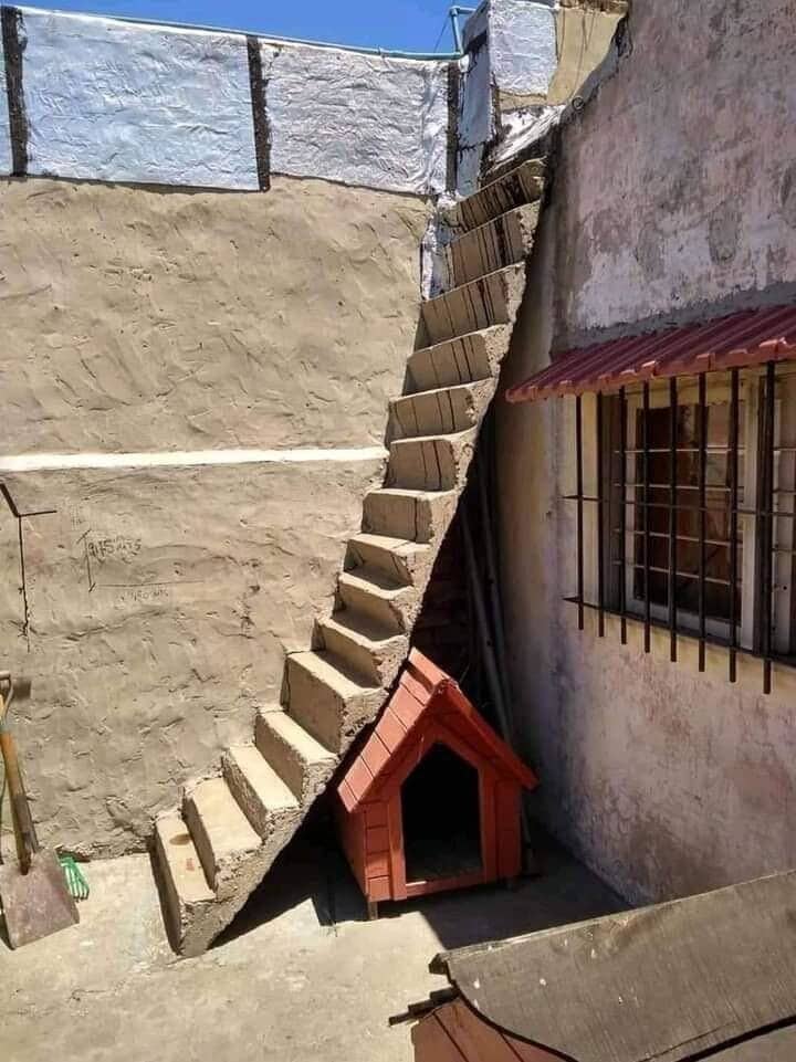 Фотография: 40 отборных картинок для того, чтобы немного отвлечься №29 - BigPicture.ru