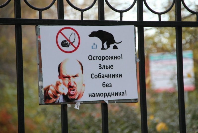 Прикольные картинки про собачников