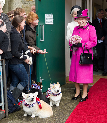 Королева Елизавета II выпустит парфюм для собак с запахом 