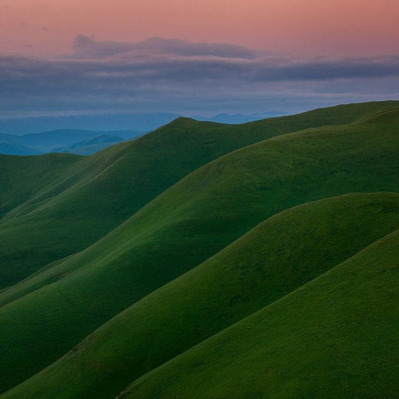 Кавказский вельвет, Ставропольский край горы, леса, природа, природа России, российская природа, россия