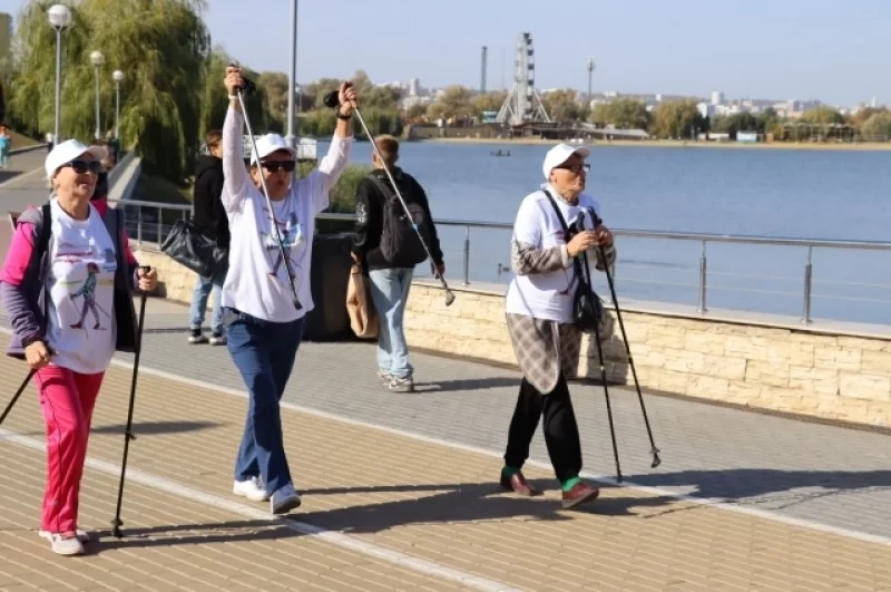 Уйти с палками от болячек. Кому помогает скандинавская ходьба? ходьба, скандинавской, ходить, скандинавская, только, ходьбы, палками, можно, палки, больше, правильно, будет, Скандинавская, тренировки, человека, организм, ходьбой, когда, время, времени