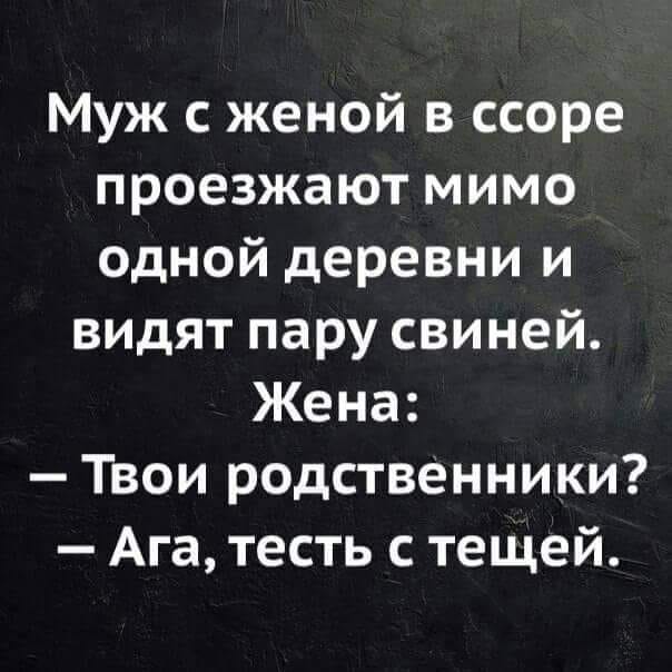 Гостиница. Мужик, расплатившись за ночлег, выходит на улицу, вдруг хлопает себя по лбу... Весёлые,прикольные и забавные фотки и картинки,А так же анекдоты и приятное общение