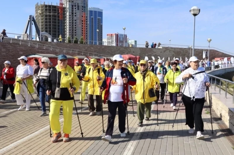 Уйти с палками от болячек. Кому помогает скандинавская ходьба? город Пенза г,о,[95246842],г,Пенза [1011123],здоровый образ жизни,здоровье,Пензенская обл,[1011073],скандинавская ходьба