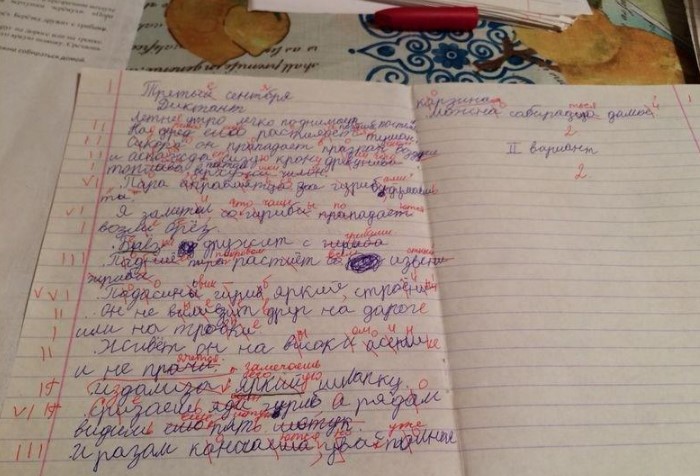 Поля в тетрадях вовсе не для учительских пометок или рисунков / Фото: k-istine.ru
