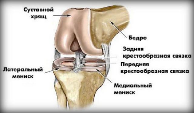 8 способов разрушить свои колени сустава, колени, мениска, колена, только, колено, может, надколенника, часто, сустав, коленного, время, суставе, можно, суставы, всего, нагрузку, внутрь, представляет, большой