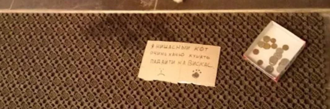 Это он не для себя собирал, а для других кошек... сидел, коробку, такой, своей, каждый, кассы, время, просто, пропал, киоска, денег, открытия, садился, девятого, сказал, забинтованную, покупали, менялся, жалкий, большой