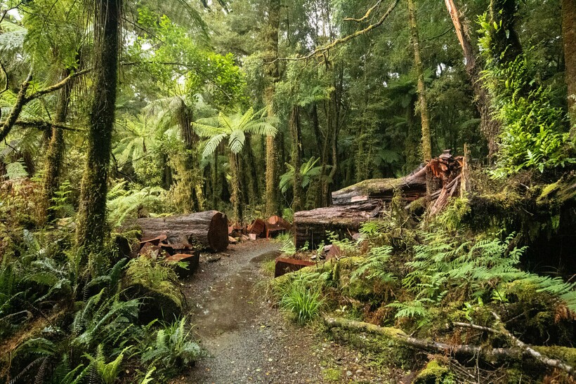 Великие тропы Новой Зеландии: как любителям пеших прогулок упростили жизнь