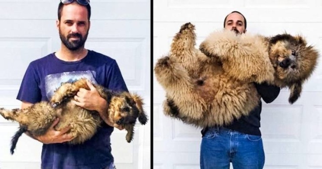 Классные фотографии и фантастические картинки из сети Классные фотографии и фантастические картинки из сети