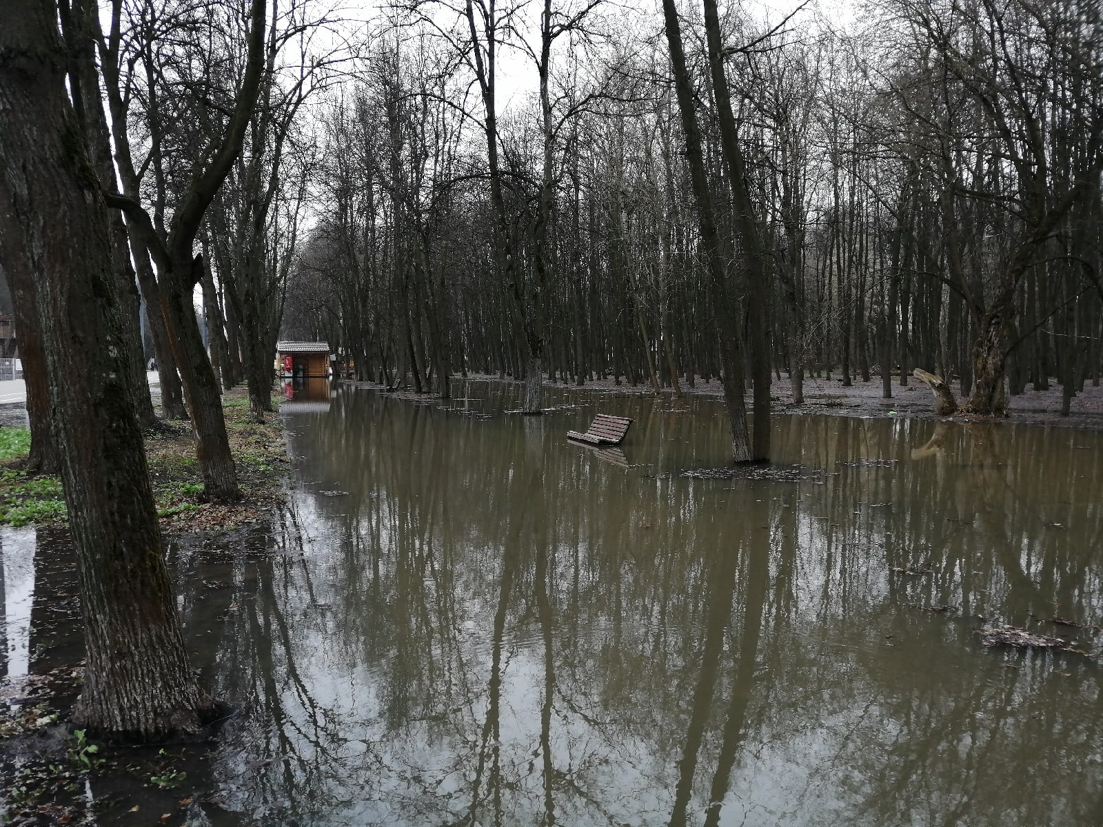 В Рязани затопило Лесопарк