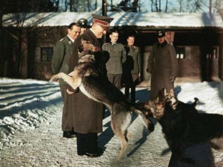 Как нацисты учили собак говорить, читать и писать