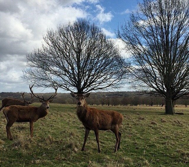 Подборка фото о случайных совпадениях Подборка фото о случайных совпадениях