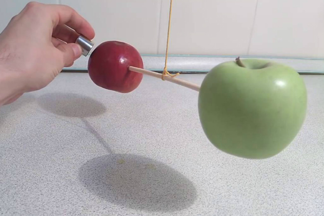 Подносим магнит к яблоку: можно ли таким образом найти внутри железо Видео,магнит,Пространство,физика,химия,эксперимент,яблоко