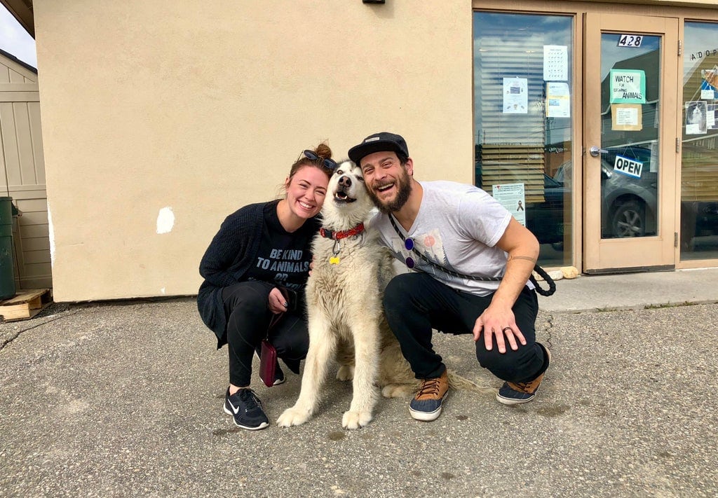 пес и хозяева