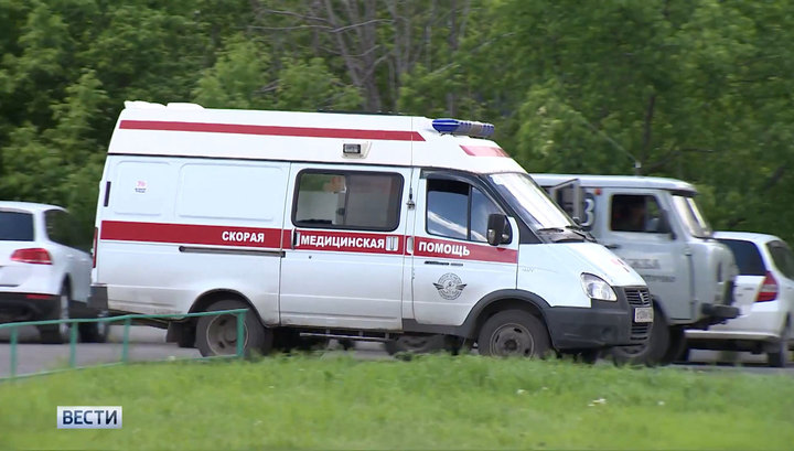 Под Калининградом собака загрызла девочку