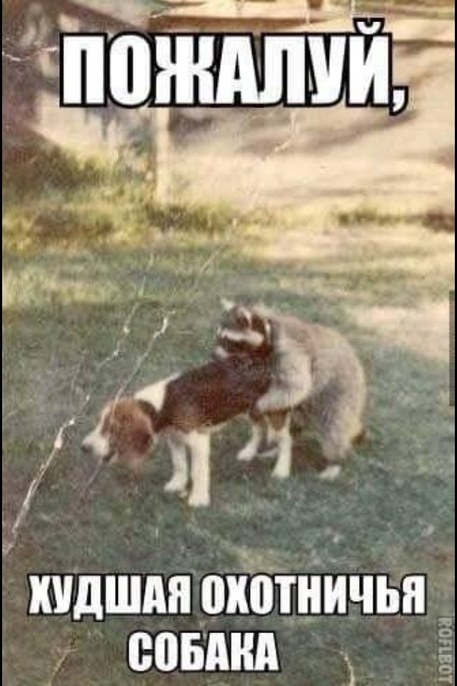 Подборка интересных и веселых картинок №53 Подборка интересных и веселых картинок №53 отдых