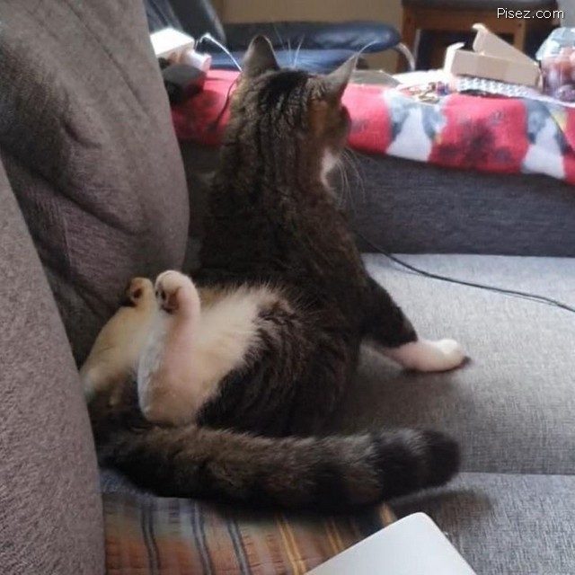 Приколы января 2021. Финал Приколы января 2021. Финал смешные картинки,фото-приколы,юмор