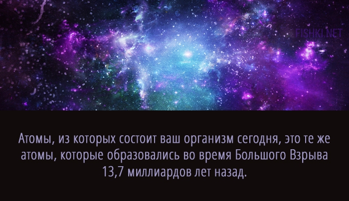 20 суперспособностей, которые есть у каждого анатомия, факты, человек