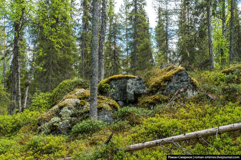 Заповедная Карелия. Паанаярви. Астерваярвская тропа путешествия, факты, фото