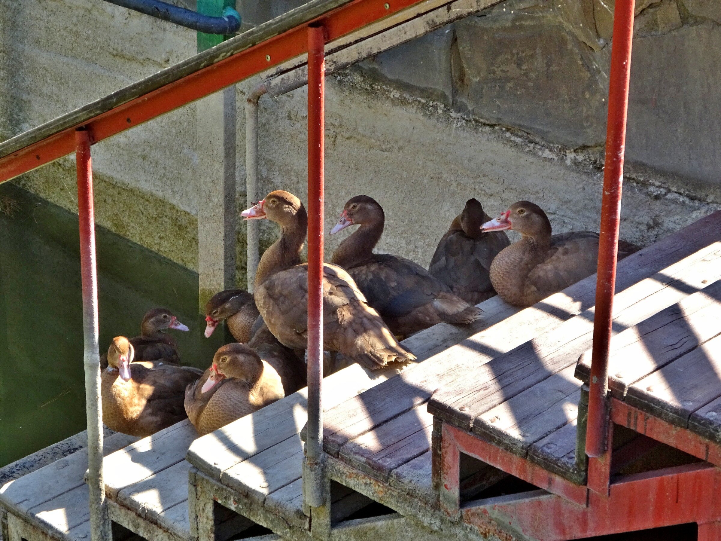 Геленджик. Парк Олимп. Террариум