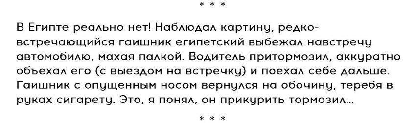 Страны, которые обходятся без правил дорожного движения 