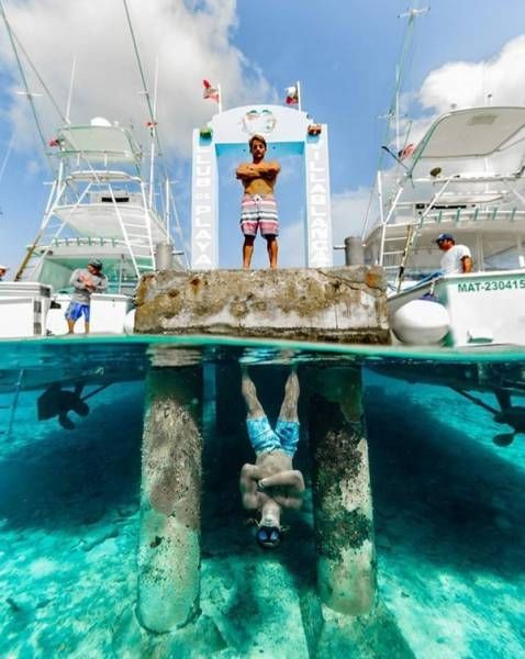 Подборка прикольных фото  (106 фото)