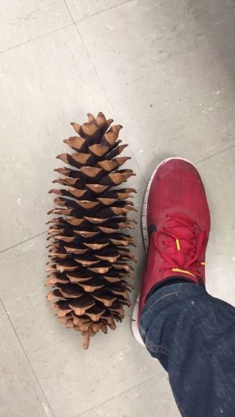 Подборка прикольных фото  (106 фото)