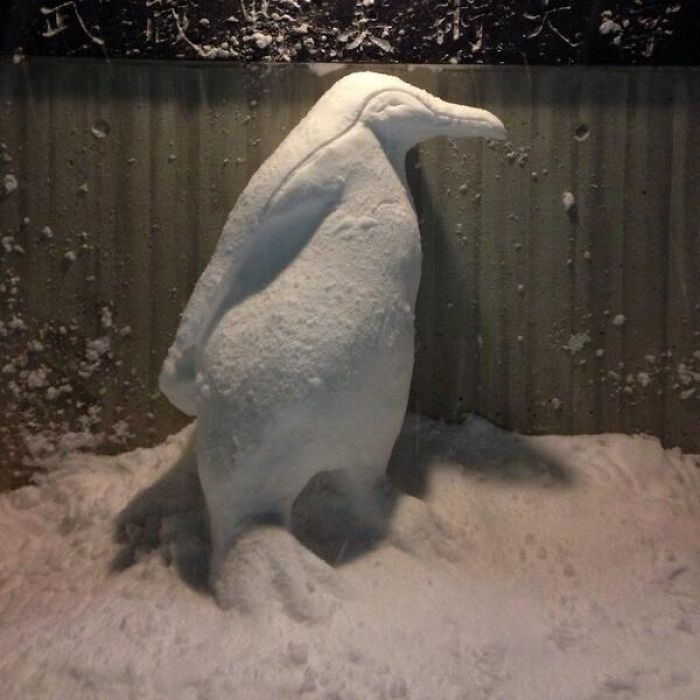 Heavy-Snow-Tokyo