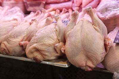 В Краснодаре производитель мяса птицы, внедряя бережные технологии, сокращает издержки и увеличивает выручку