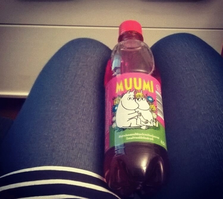 17 бытовых мелочей, которые заставляют люто завидовать финнам