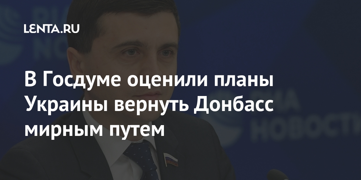 В Госдуме оценили планы Украины вернуть Донбасс мирным путем Россия