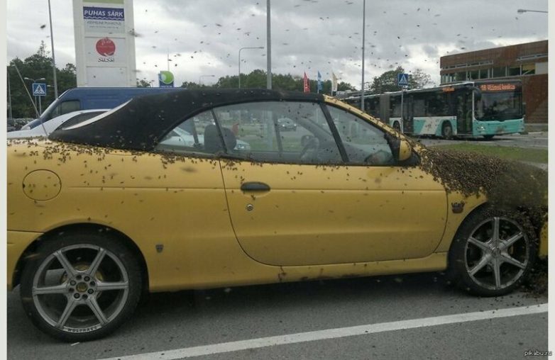 Ужасы природы, с которыми мало кто пожелал бы встретиться Ужасы природы, с которыми мало кто пожелал бы встретиться планета,природа