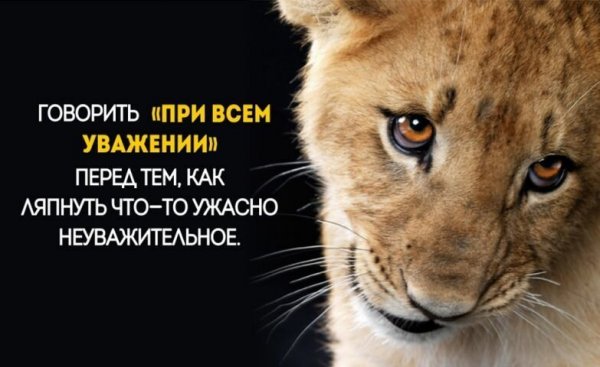 Привычки, которые действуют на окружающих как красная тряпка на быка истории из жизни