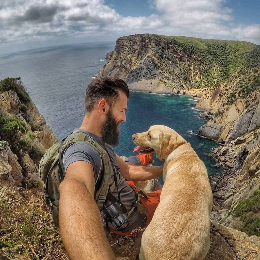Звери-путешественники Звери-путешественники животные,животные-путешественники,звери