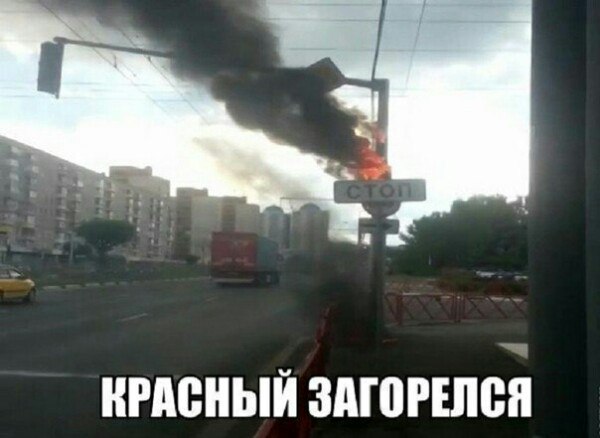 Юмор и веселье в картинках с надписями от Крокодила (12 фото)