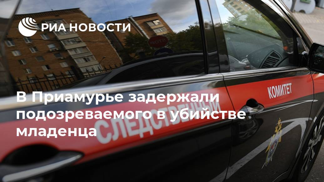 В Приамурье задержали подозреваемого в убийстве младенца В Приамурье задержали подозреваемого в убийстве младенца Лента новостей