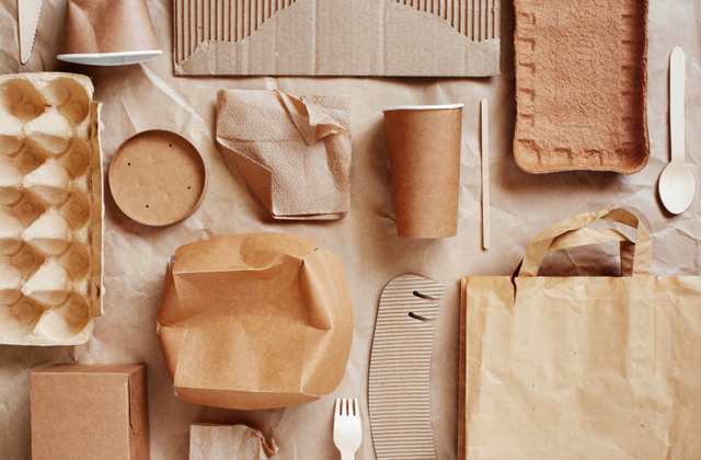 Как стать экологичнее? Несколько правил разумного потребления 