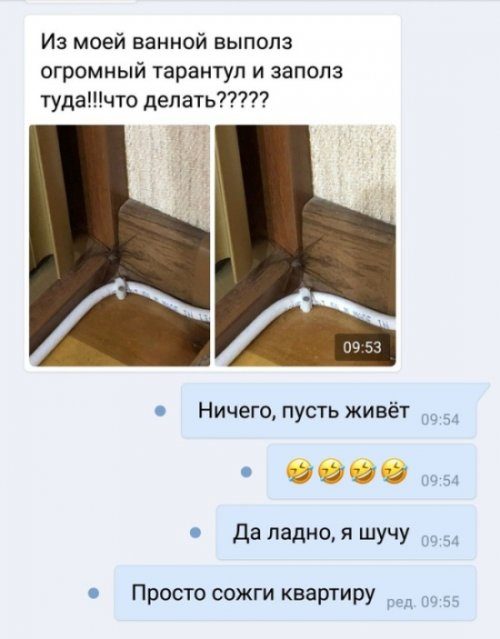 Новые приколы дня 