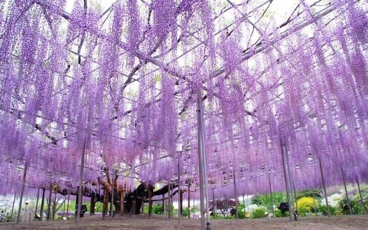 Фотография: 40 отборных картинок для того, чтобы немного отвлечься №8 - BigPicture.ru