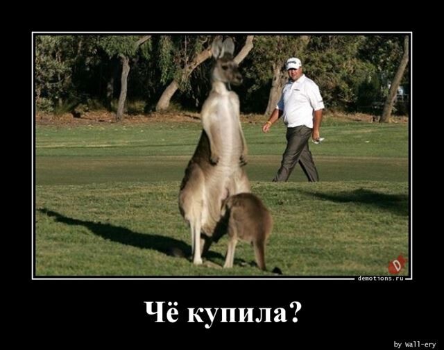 Ежедневная порция позитива и хорошего настроения! Ежедневная порция позитива и хорошего настроения!