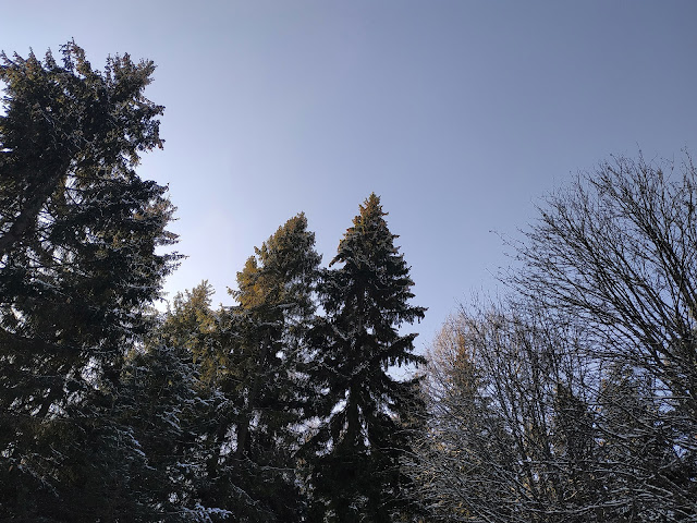 декабрь подмосковье