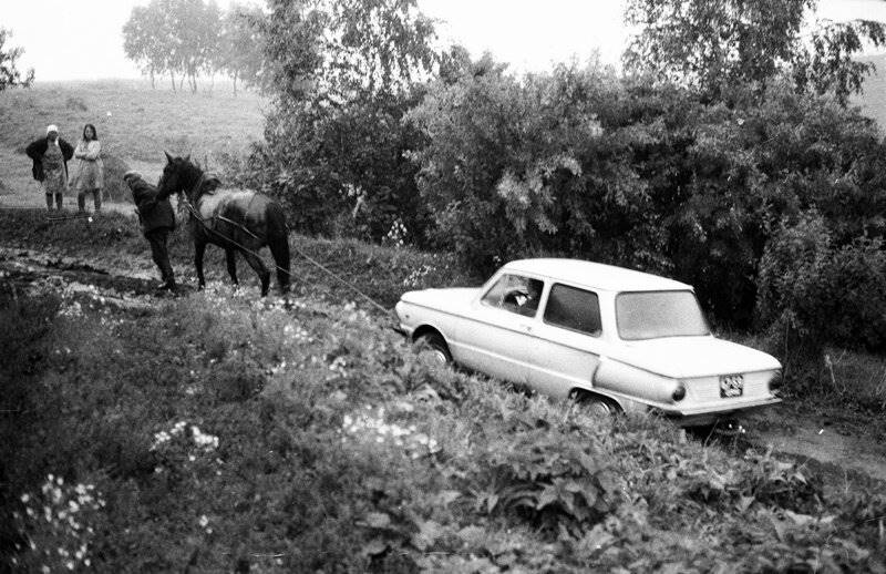 Хочу к бабушке в деревню Хочу к бабушке в деревню истории из жизни