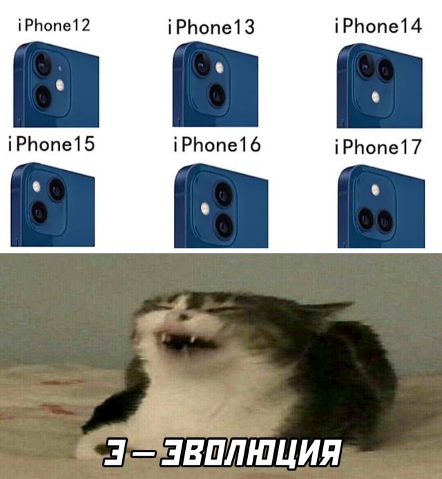 Подборка картинок. Вечерний выпуск Подборка картинок. Вечерний выпуск приколы,смешные картинки,юмор