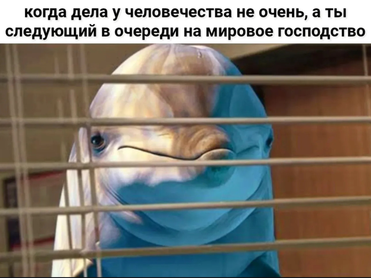 Юмор за день и светлое настоящее Юмор за день и светлое настоящее