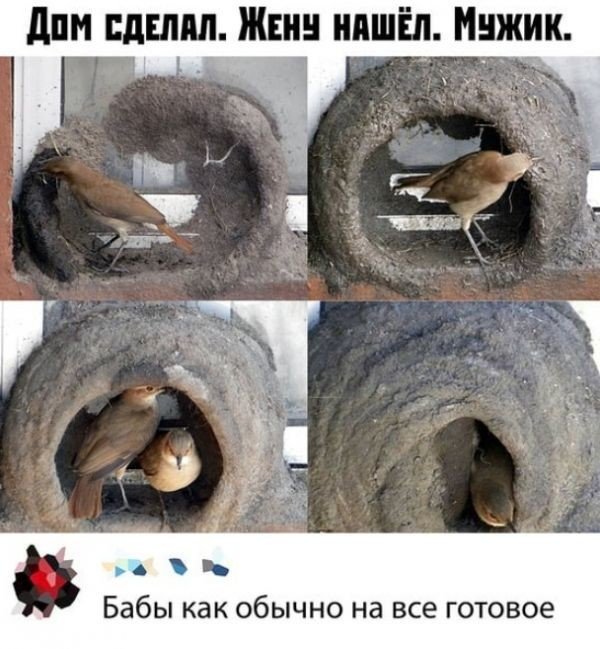 Смешные комментарии к постам в социальных сетях  позитив,смешные картинки,юмор