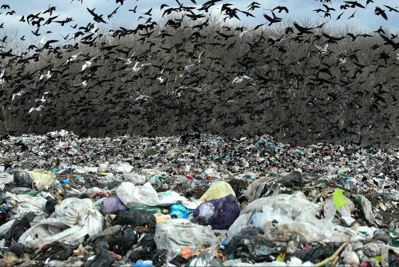 Враг, который давно живёт рядом россия